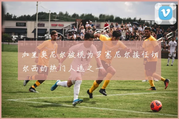 加里奥尼尔被视为罗塞尼尔接任切尔西的热门人选之一