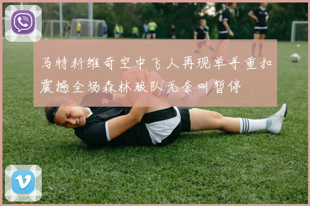 马特科维奇空中飞人再现单手重扣震撼全场森林狼队无奈叫暂停