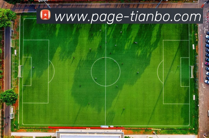 天博体育服务体系